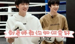 碗盆cp圈内爆料,圈内爆料揭秘爱情真相